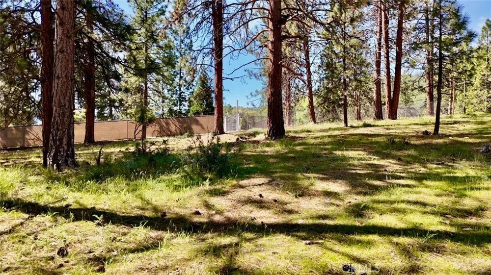 s Lang Way Yreka, CA 96097