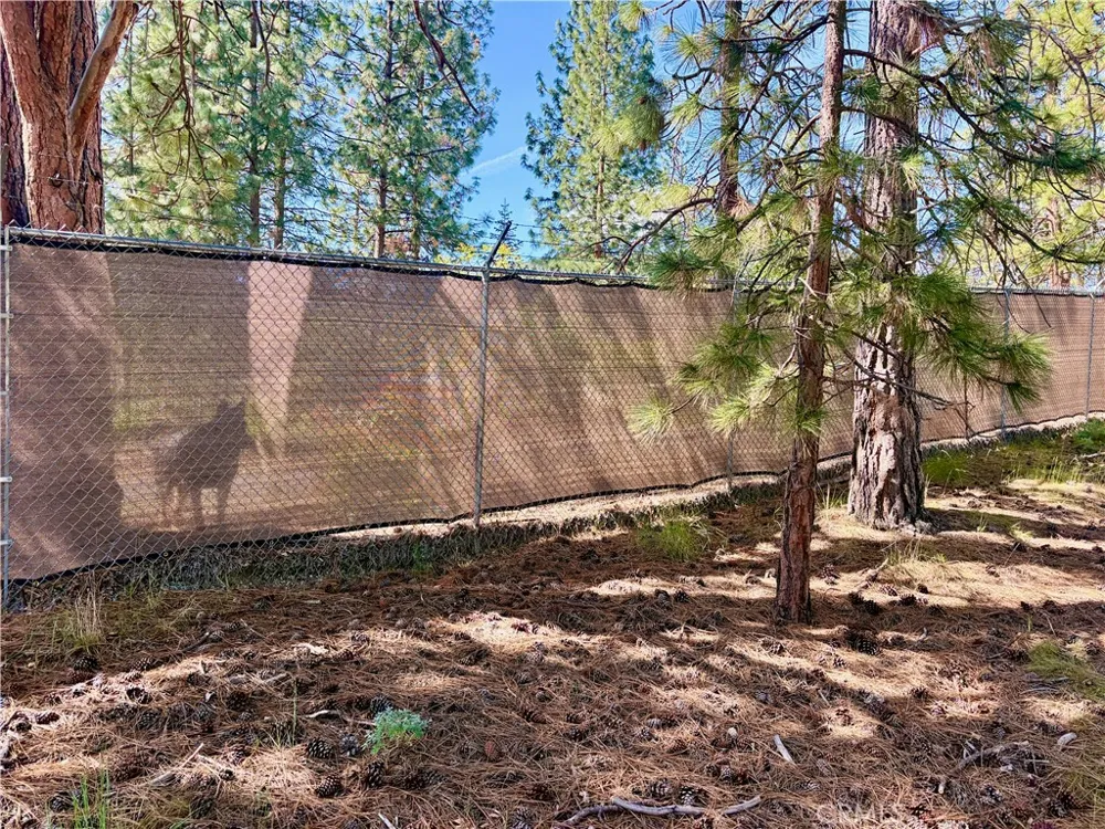 s Lang Way Yreka, CA 96097
