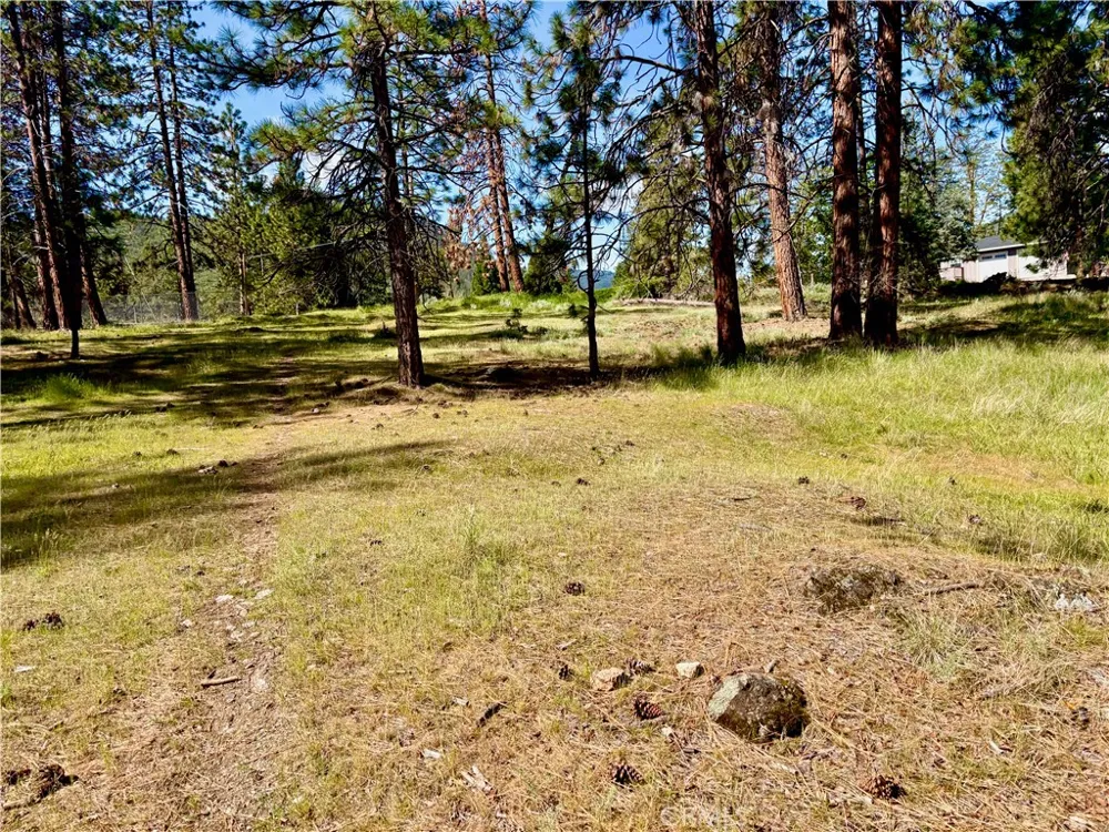s Lang Way Yreka, CA 96097