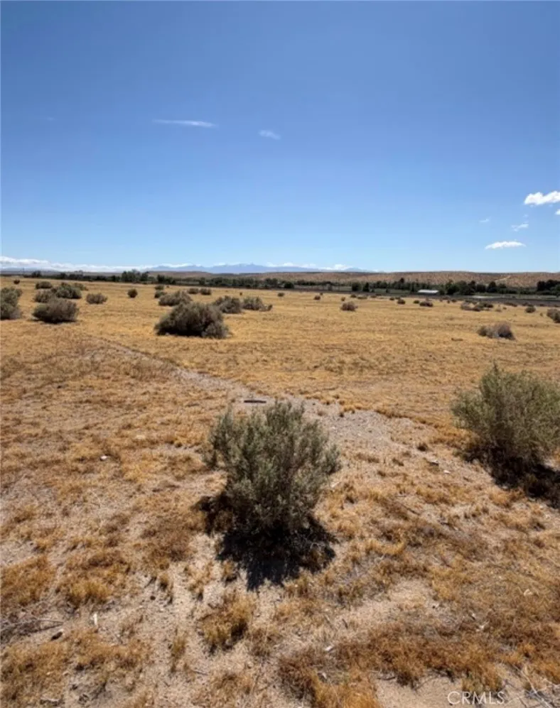 ST. Oro Grande, CA 92368