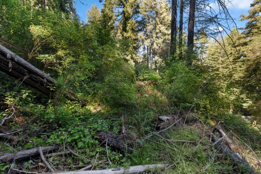 146 Starview Place Boulder Creek, CA 95006