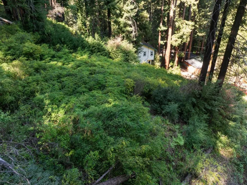 146 Starview Place Boulder Creek, CA 95006