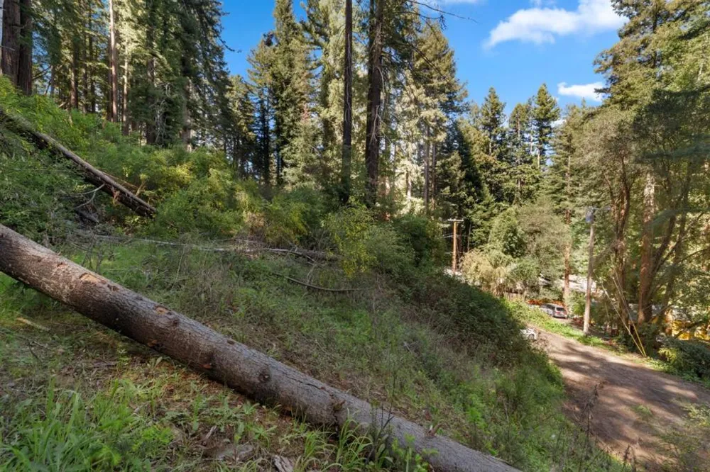 146 Starview Place Boulder Creek, CA 95006