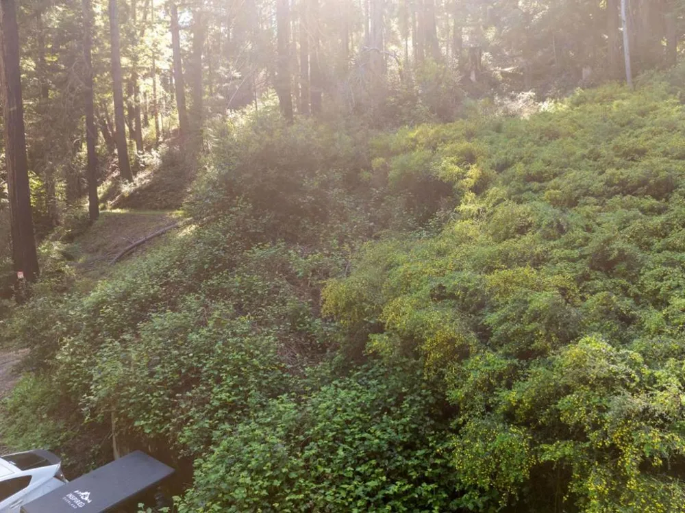 146 Starview Place Boulder Creek, CA 95006