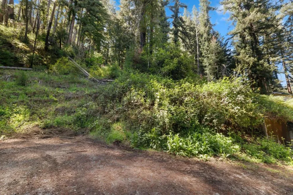 146 Starview Place Boulder Creek, CA 95006