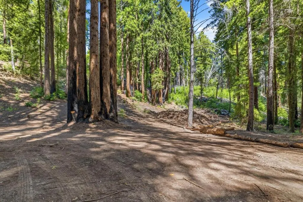 Band Road Boulder Creek, CA 95006