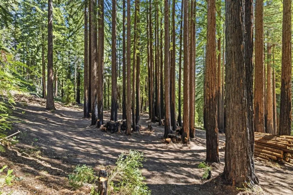 Band Road Boulder Creek, CA 95006