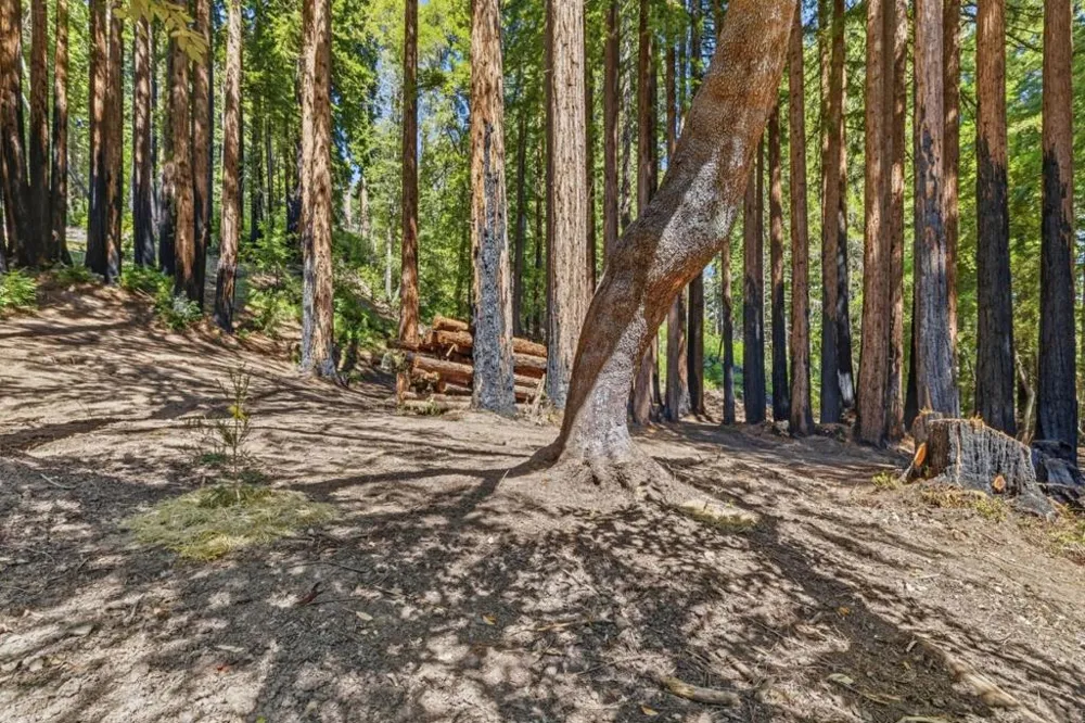 Band Road Boulder Creek, CA 95006