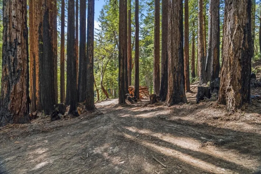 Band Road Boulder Creek, CA 95006