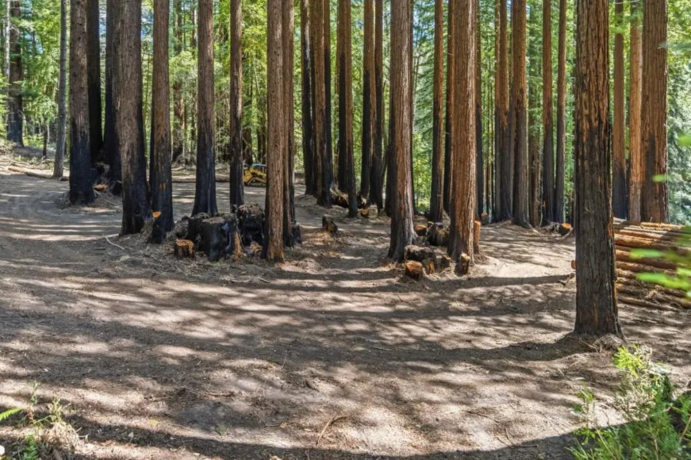 Band Road Boulder Creek, CA 95006