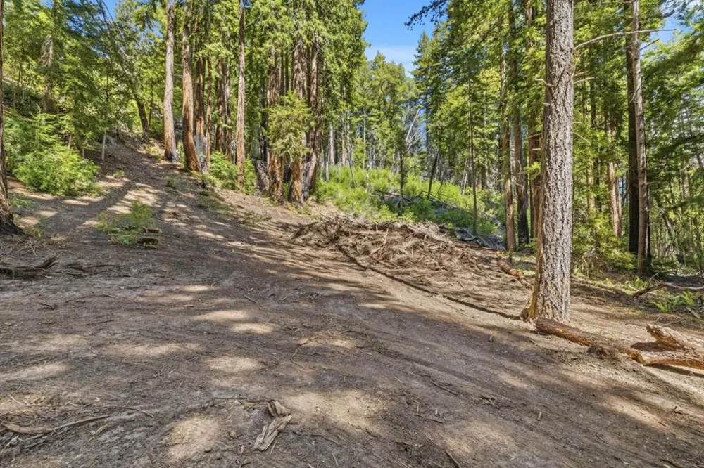 Band Road Boulder Creek, CA 95006