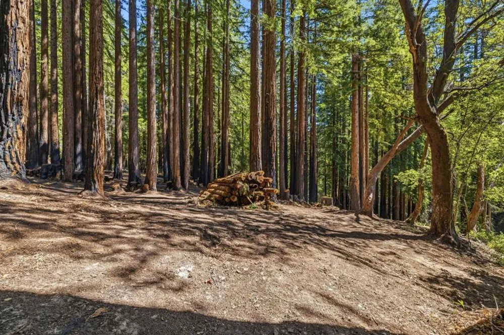 Band Road Boulder Creek, CA 95006
