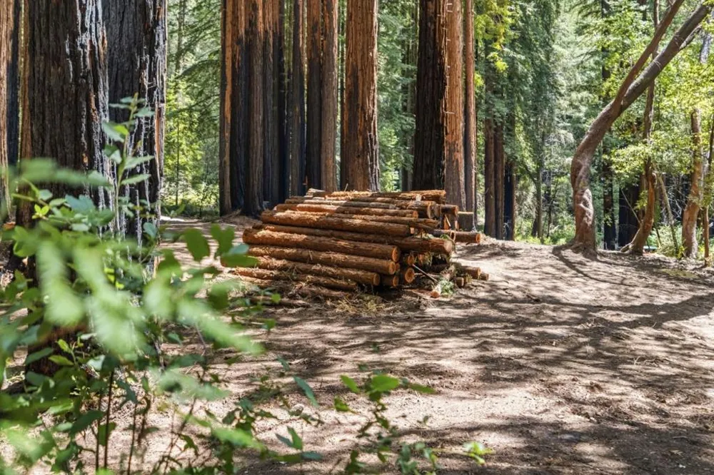 Band Road Boulder Creek, CA 95006