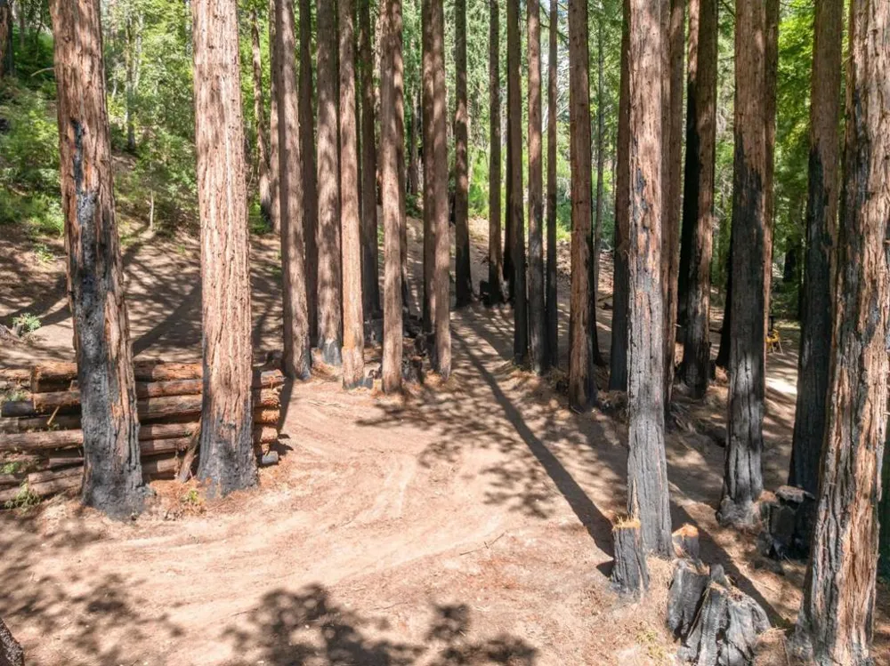 Band Road Boulder Creek, CA 95006