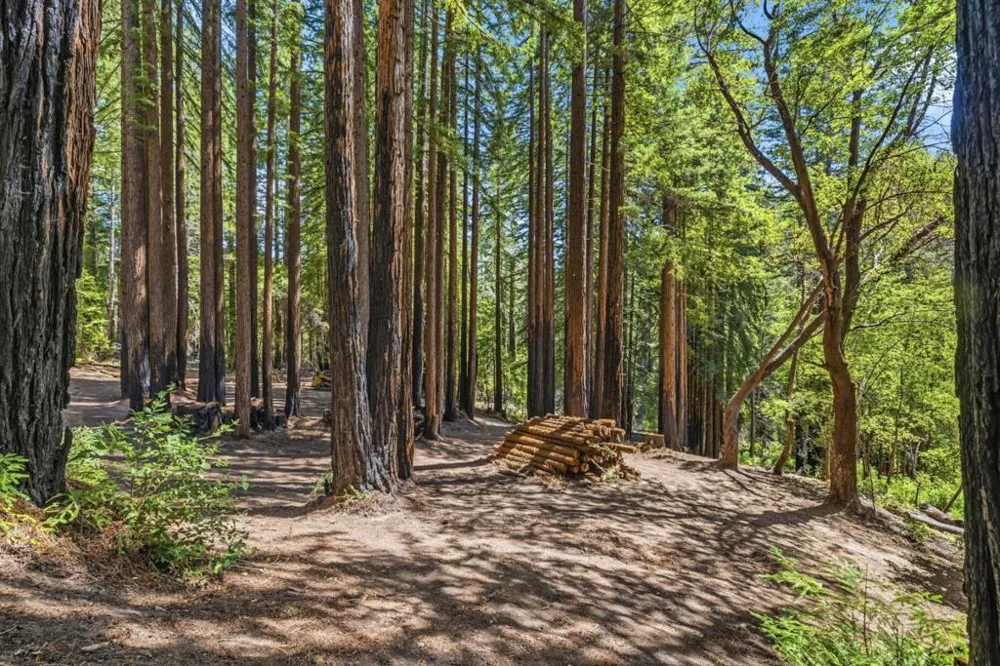 Band Road Boulder Creek, CA 95006