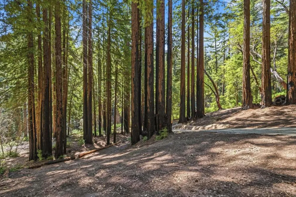 Band Road Boulder Creek, CA 95006