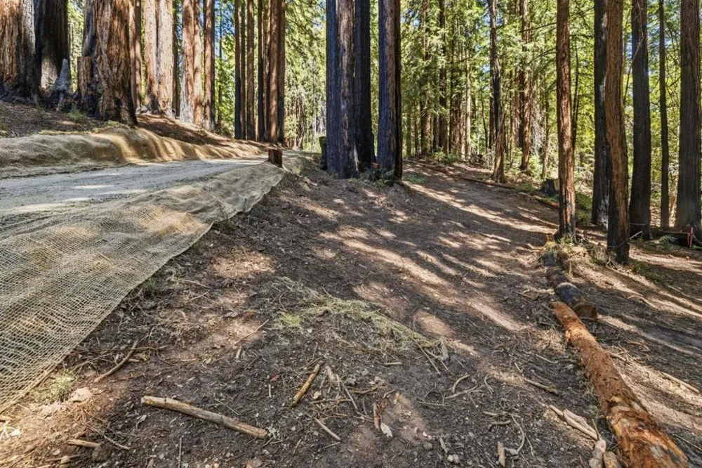 Band Road Boulder Creek, CA 95006