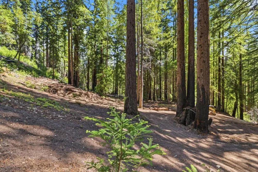 Band Road Boulder Creek, CA 95006