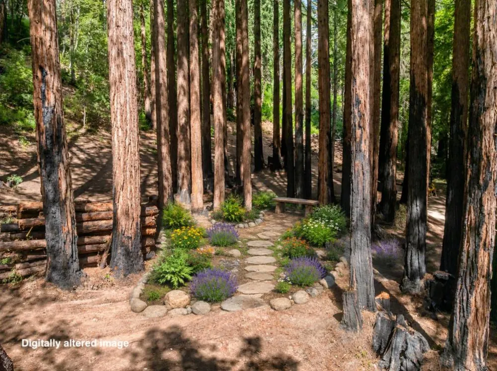Band Road Boulder Creek, CA 95006