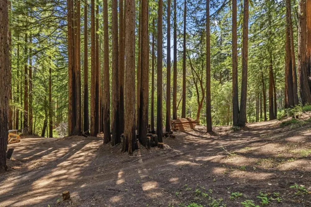 Band Road Boulder Creek, CA 95006