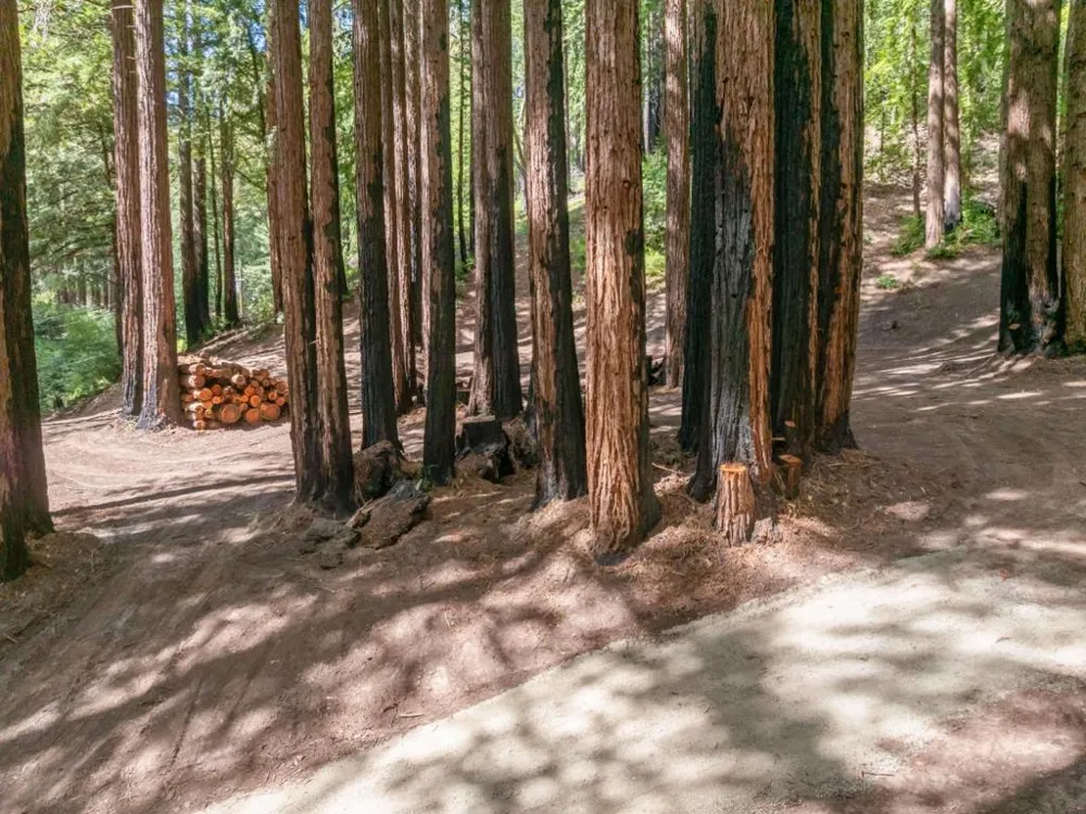 Band Road Boulder Creek, CA 95006