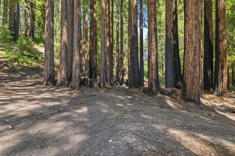 Band Road Boulder Creek, CA 95006