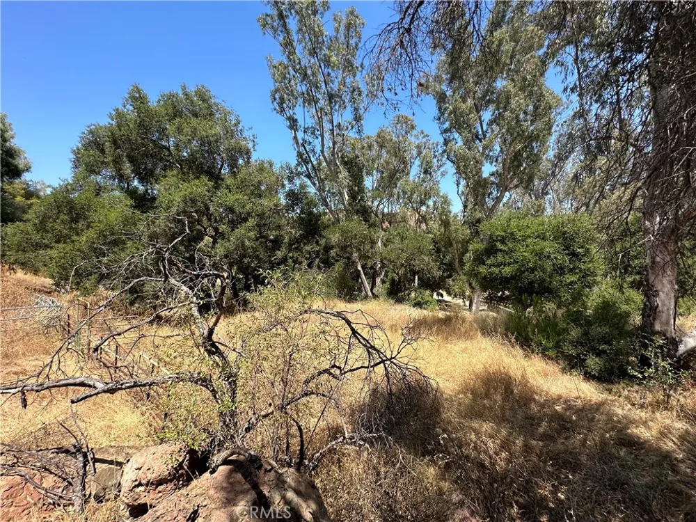 30100 Mulholland Agoura, CA 91301