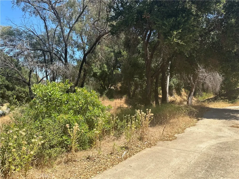 30100 Mulholland Agoura, CA 91301