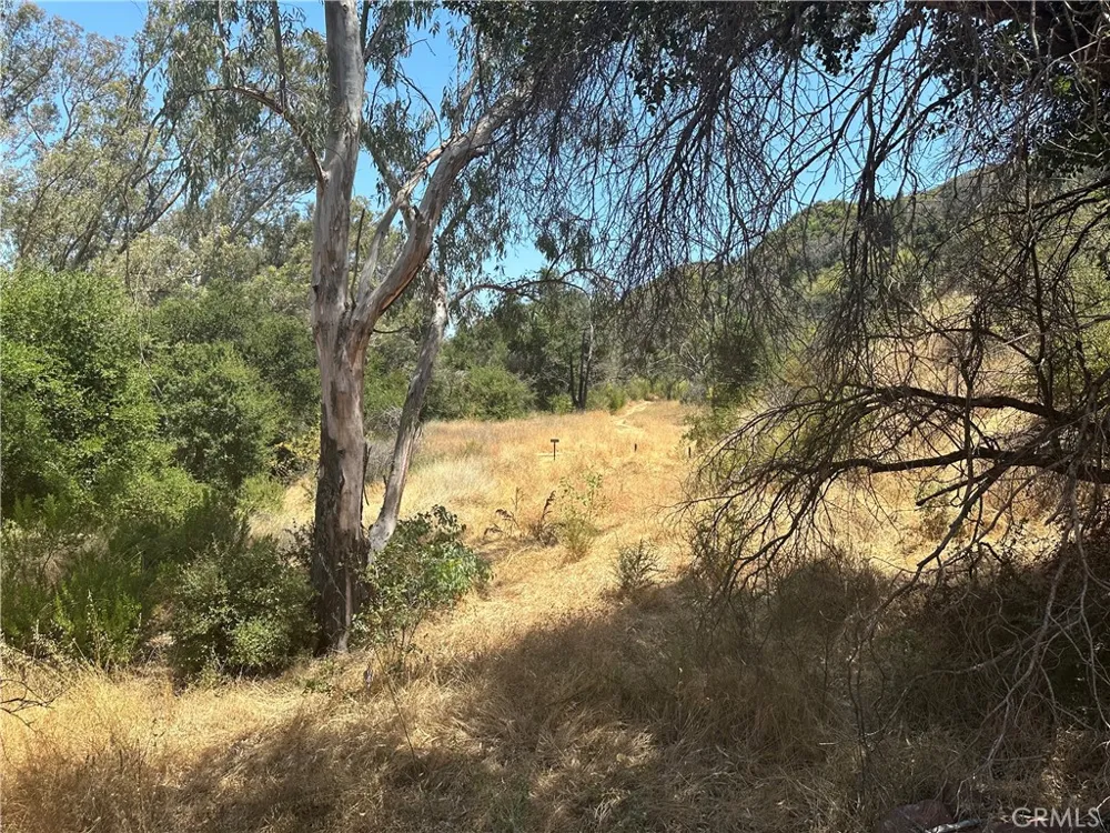 30100 Mulholland Agoura, CA 91301