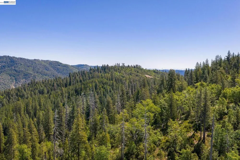 20800 Mount Provo Road Twain Harte, CA 95383