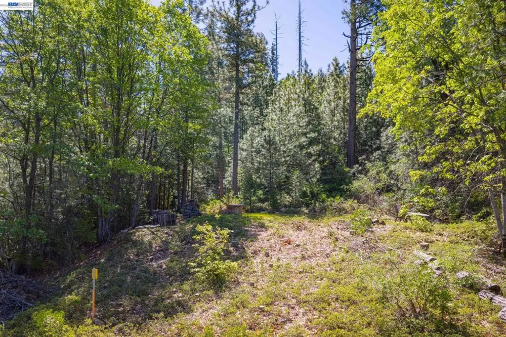 20800 Mount Provo Road Twain Harte, CA 95383