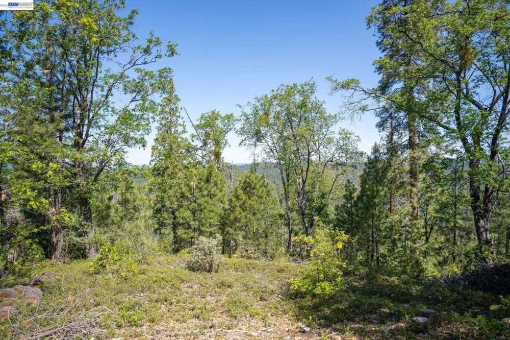 20800 Mount Provo Road Twain Harte, CA 95383