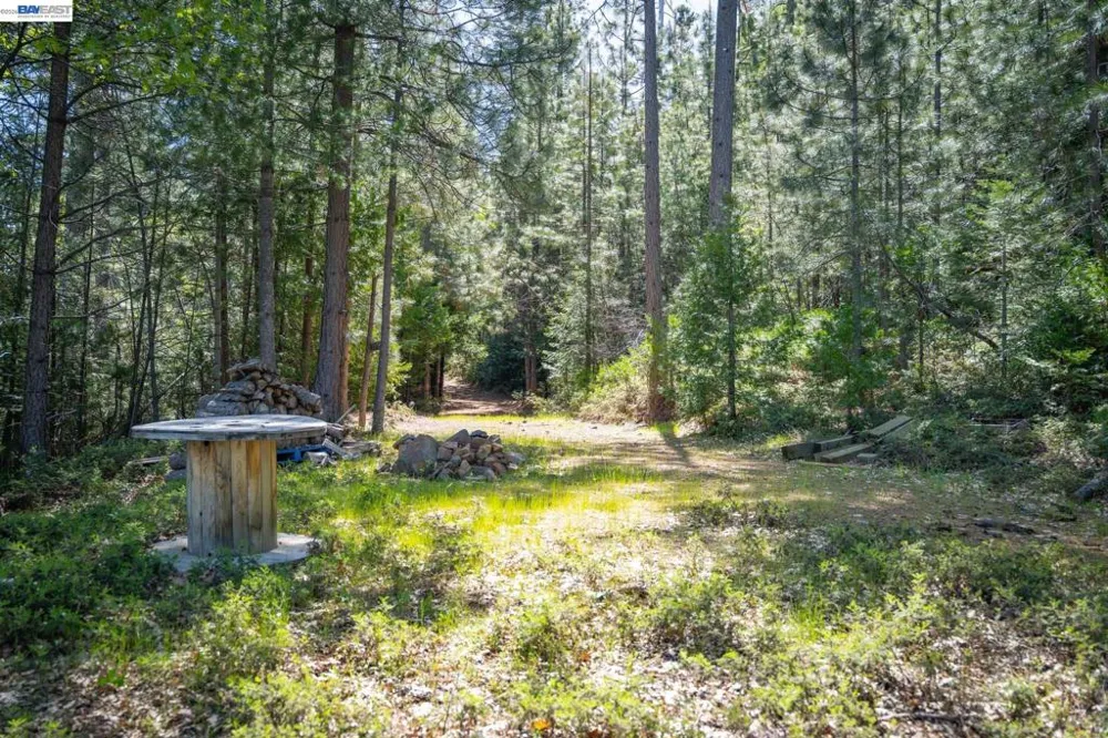20800 Mount Provo Road Twain Harte, CA 95383