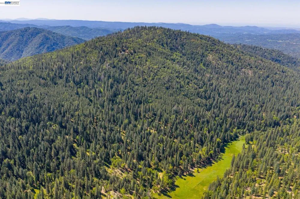20800 Mount Provo Road Twain Harte, CA 95383