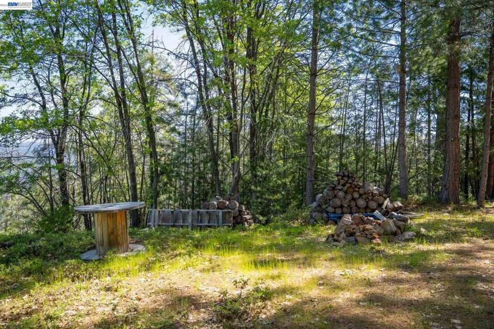 20800 Mount Provo Road Twain Harte, CA 95383