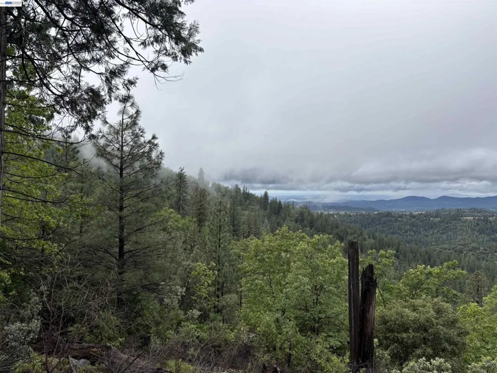 20800 Mount Provo Road Twain Harte, CA 95383