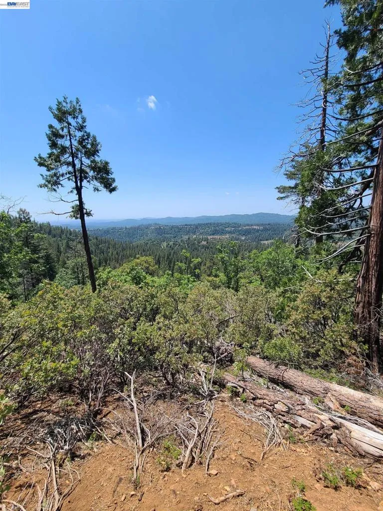 20800 Mount Provo Road Twain Harte, CA 95383