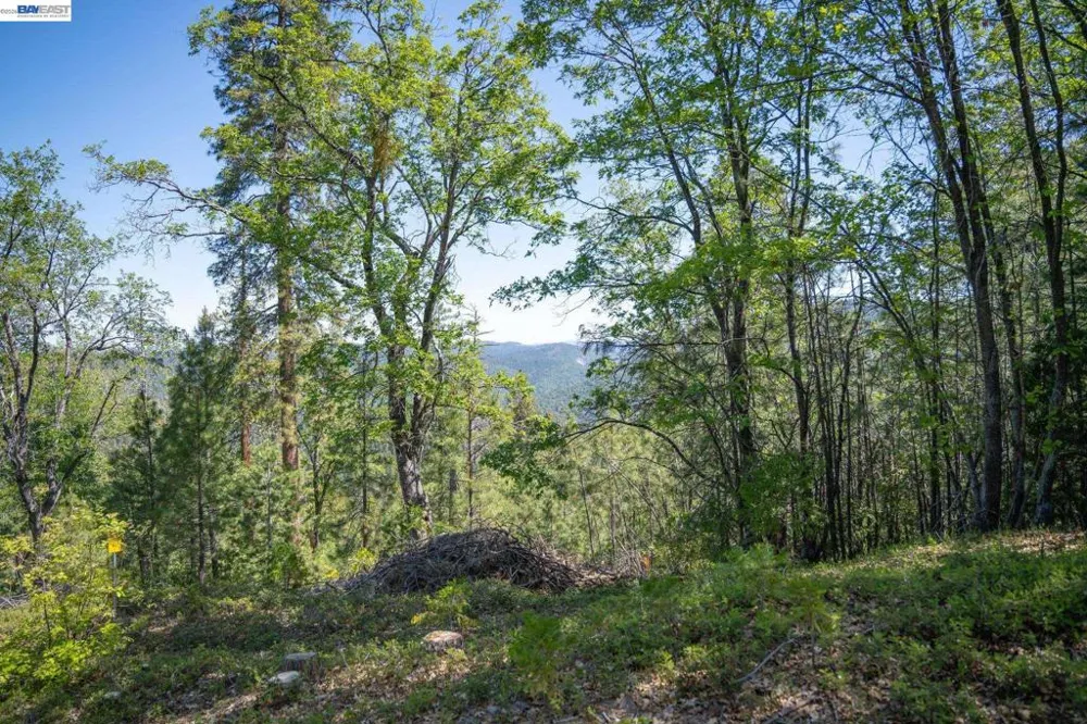 20800 Mount Provo Road Twain Harte, CA 95383