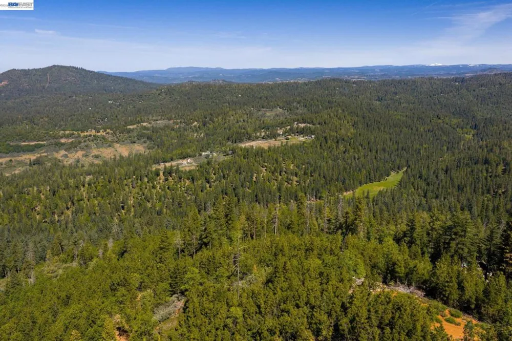 20800 Mount Provo Road Twain Harte, CA 95383