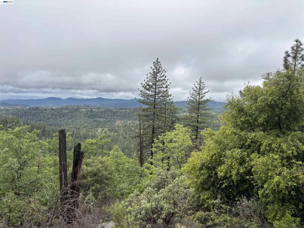 20800 Mount Provo Road Twain Harte, CA 95383