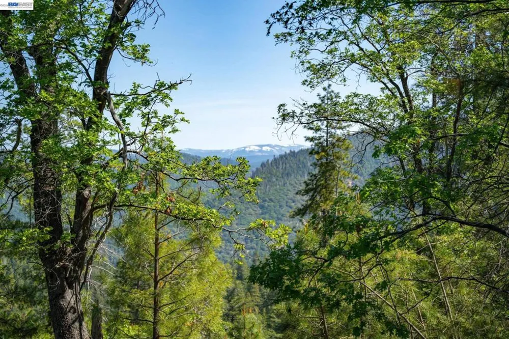 20800 Mount Provo Road Twain Harte, CA 95383