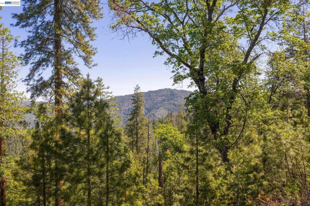 20800 Mount Provo Road Twain Harte, CA 95383
