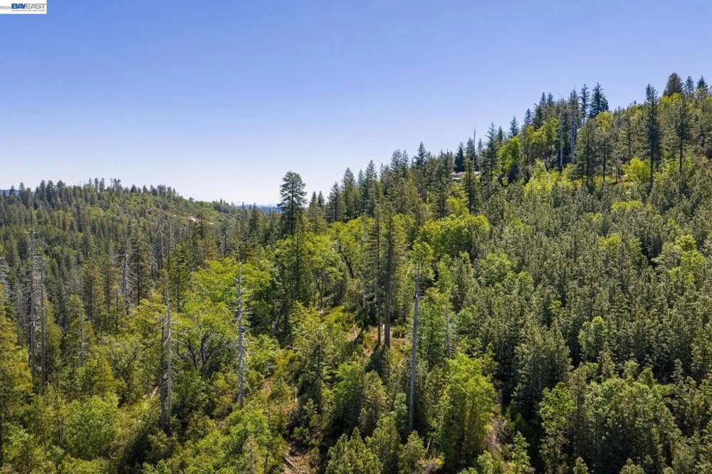 20800 Mount Provo Road Twain Harte, CA 95383