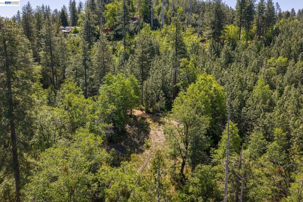 20800 Mount Provo Road Twain Harte, CA 95383