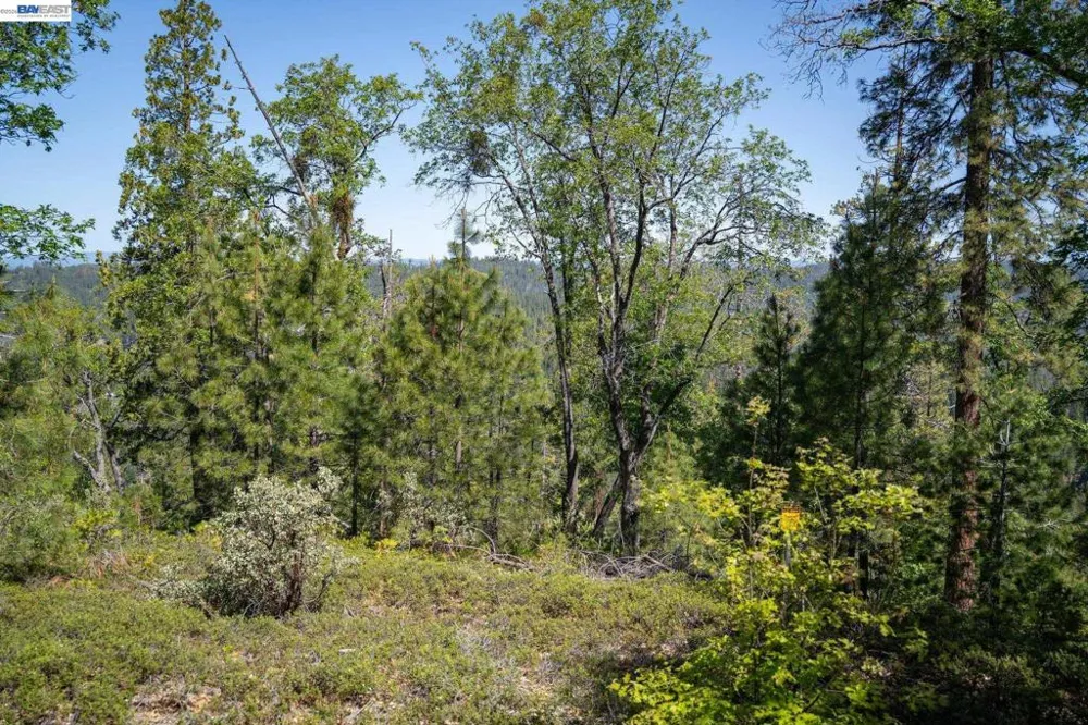 20800 Mount Provo Road Twain Harte, CA 95383