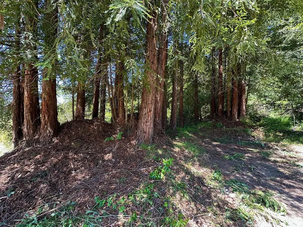 5601 Freedom Boulevard Aptos, CA 95003