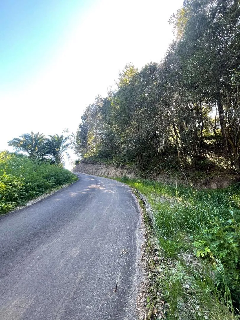 5601 Freedom Boulevard Aptos, CA 95003