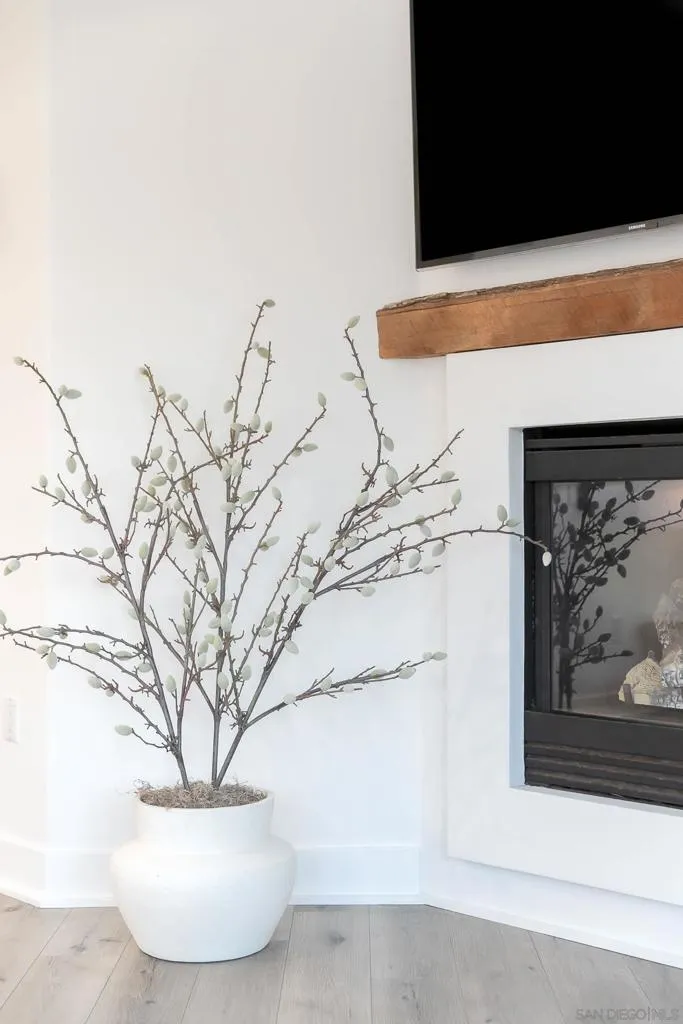 229 Bonair St La Jolla, CA 92037