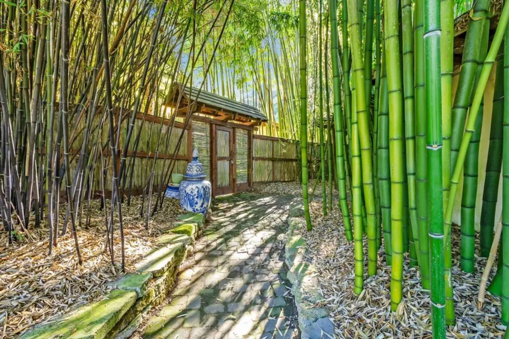 5601 Freedom Boulevard Aptos, CA 95003