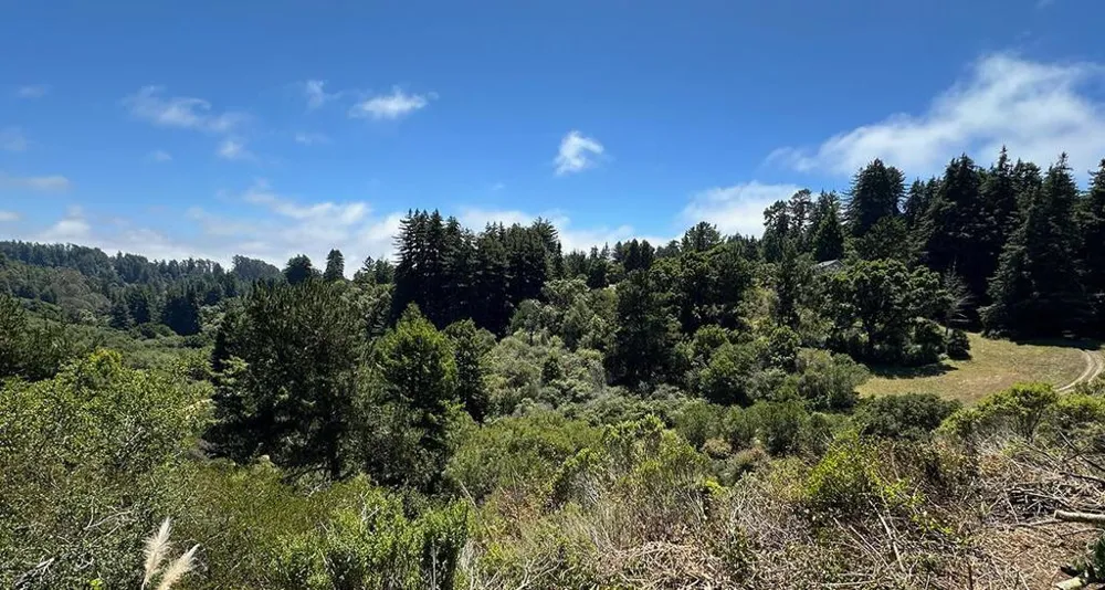 5601 Freedom Boulevard Aptos, CA 95003